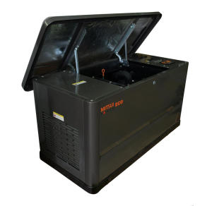 Газовый генератор  GM 20000