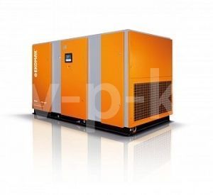 Винтовой компрессор Ekomak EKO 132CD VST 7 фото