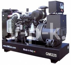 Дизельный генератор GMGen GMI225  Дизельный генератор GMGen GMI225  фото
