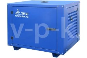 Бензиновый генератор ТСС SGG 2800N в погодозащитном кожухе  Бензиновый генератор ТСС SGG 2800N в погодозащитном кожухе  фото