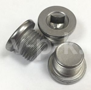 R 024W115II Пробка слива масла W115II для w115-16 (16 бар)