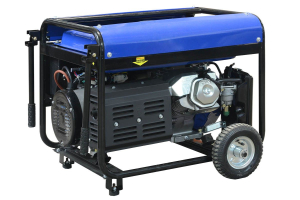 Бензиновый генератор ТСС PRO GGW 3.0/250E-R 022832 фото