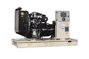 Дизельный генератор TEKSAN TJ45PE CROMPTON  фото