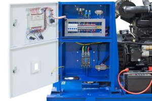 Дизельный генератор ТСС АД-60С-Т400 в контейнере с АВР 025401 (с автозапуском) фото